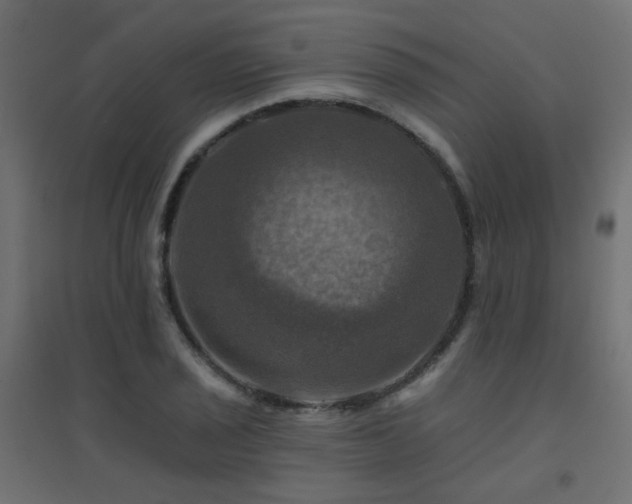 X0000094901029200711291227