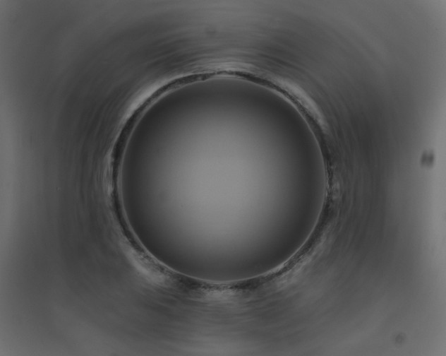 X0000094901031200711291227