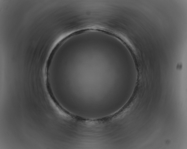 X0000094901032200711291227