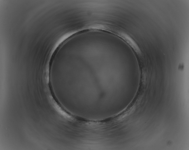 X0000094901036200711291227