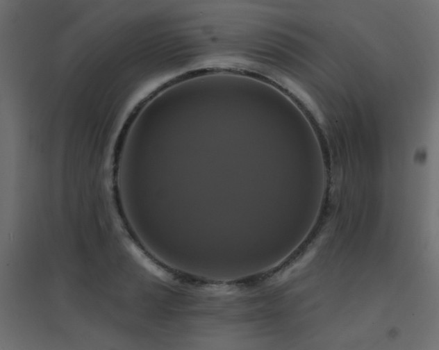 X0000094901037200711291227