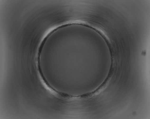 X0000094901038200711291227