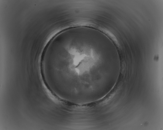 X0000094901039200711291228