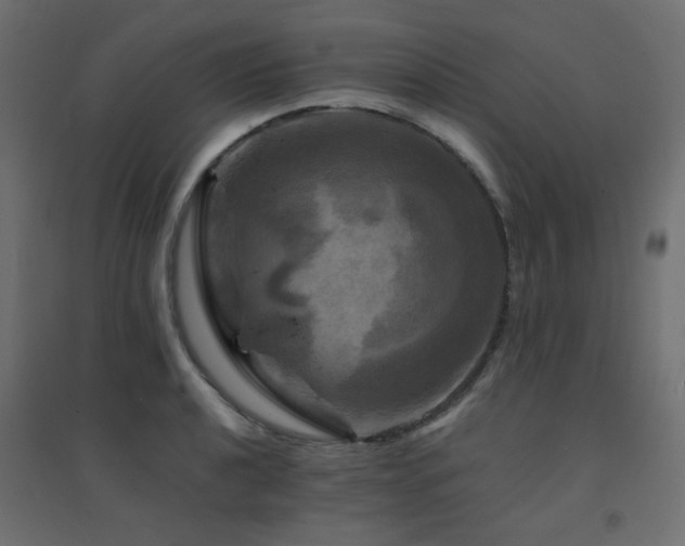 X0000094901040200711291228