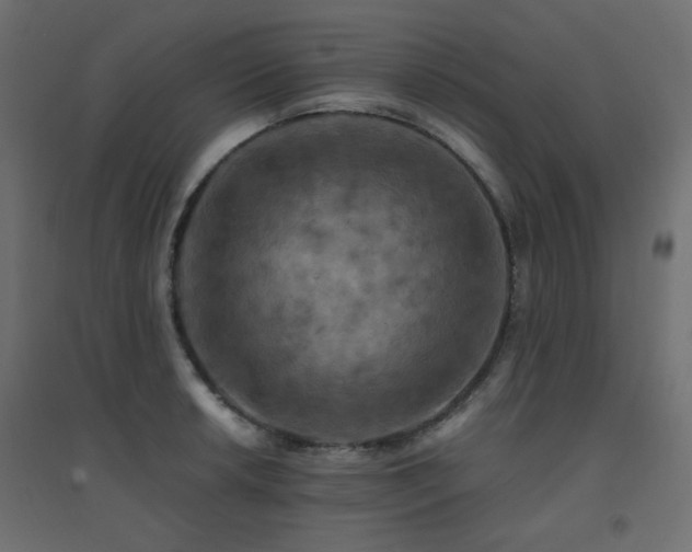 X0000094901042200711291228