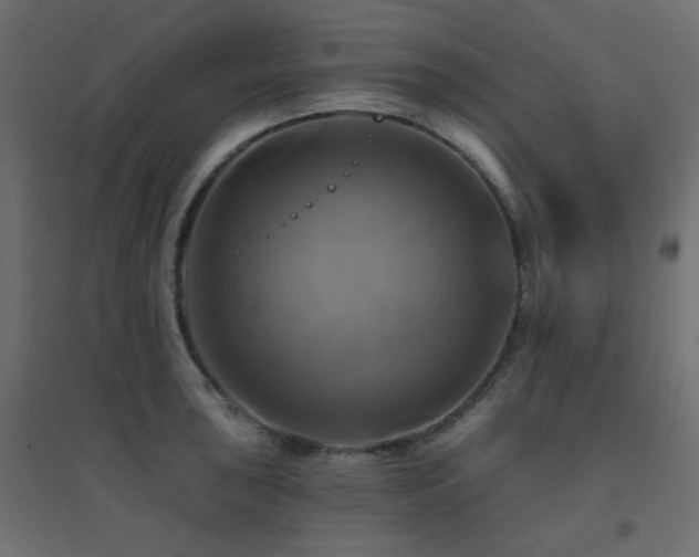 X0000094901043200711291228