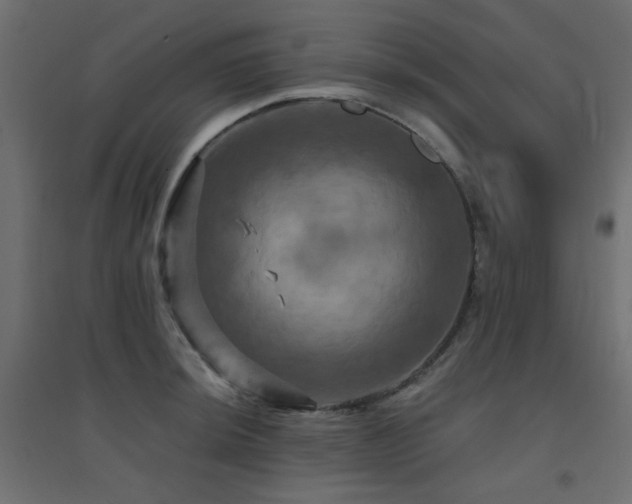 X0000094901044200711291228
