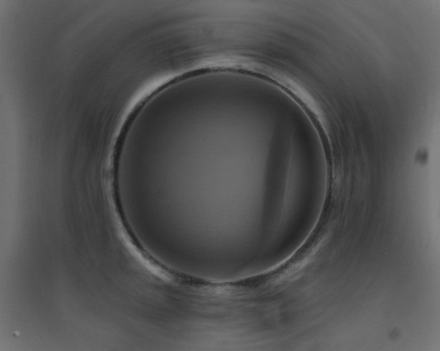 X0000094901045200711291228