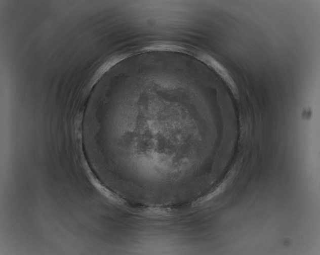 X0000094901049200711291228