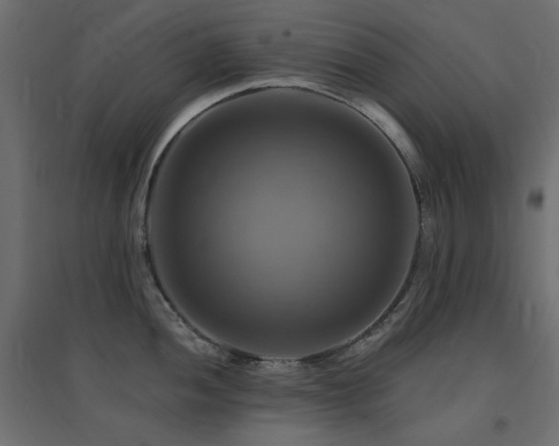 X0000094901052200711291228