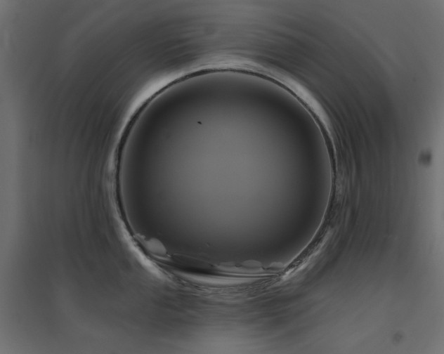 X0000094901053200711291228