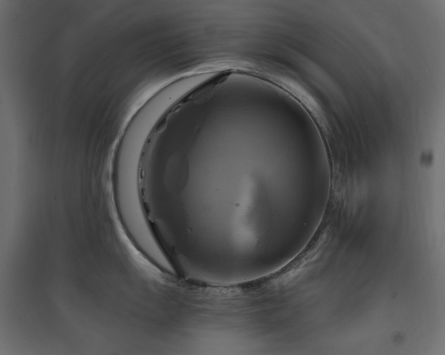 X0000094901055200711291228