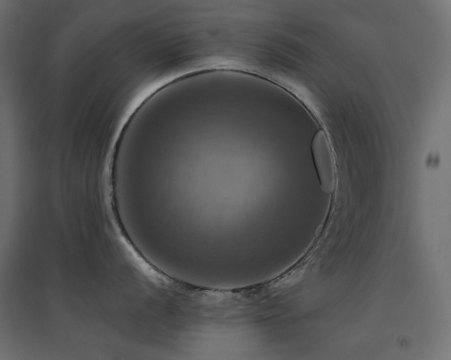 X0000094901056200711291228