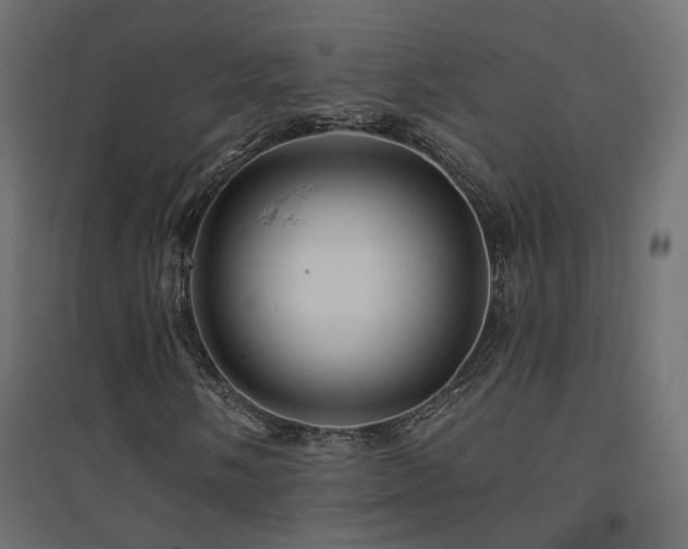 X0000094901058200711291227