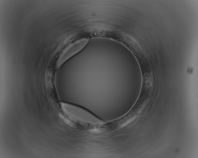 X0000094901060200711291227