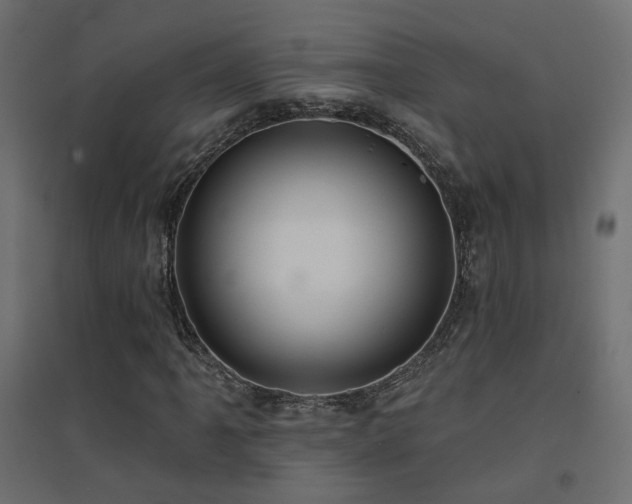 X0000094901061200711291227