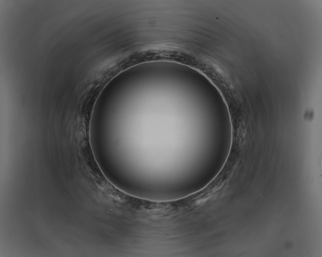X0000094901062200711291227