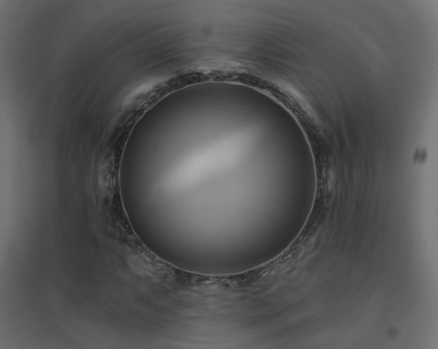 X0000094901063200711291227