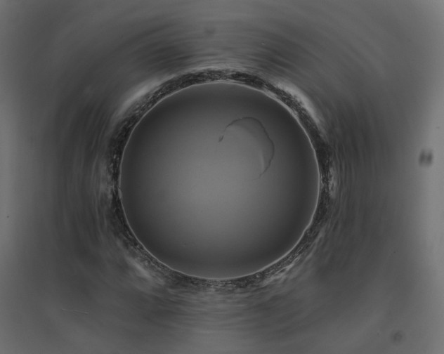 X0000094901064200711291227