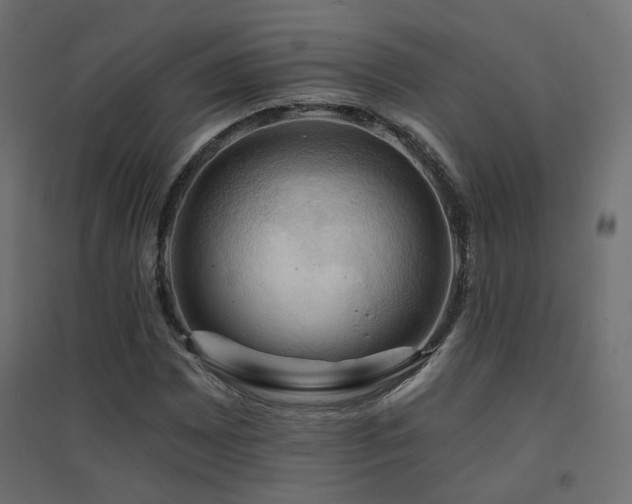 X0000094901065200711291227
