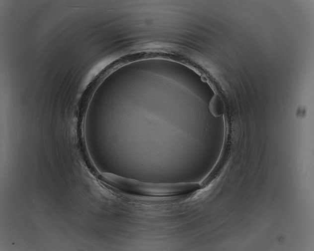 X0000094901066200711291227
