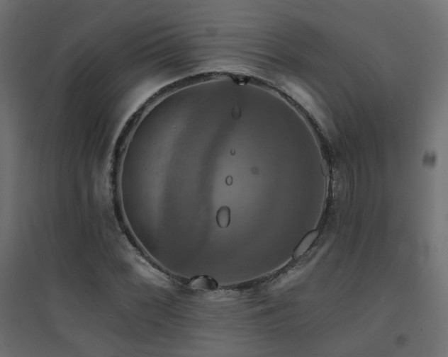X0000094901068200711291227