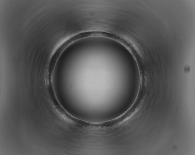 X0000094901069200711291227