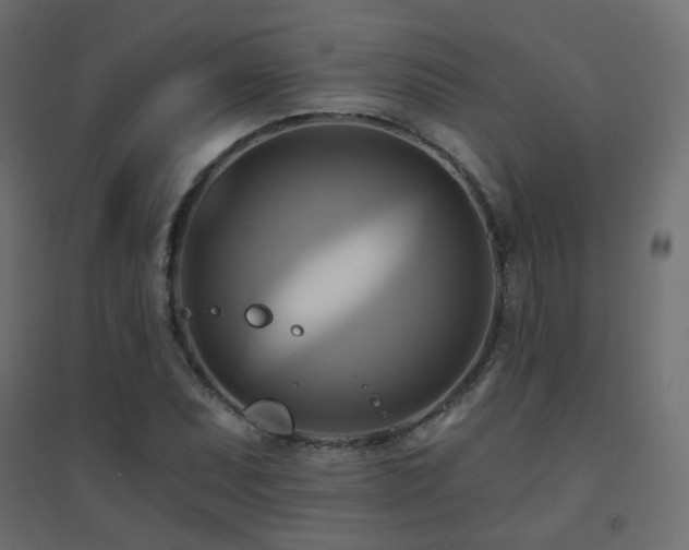 X0000094901071200711291227