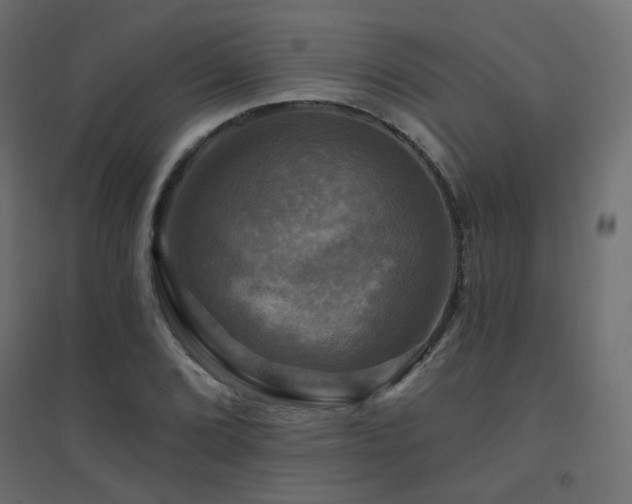 X0000094901072200711291227