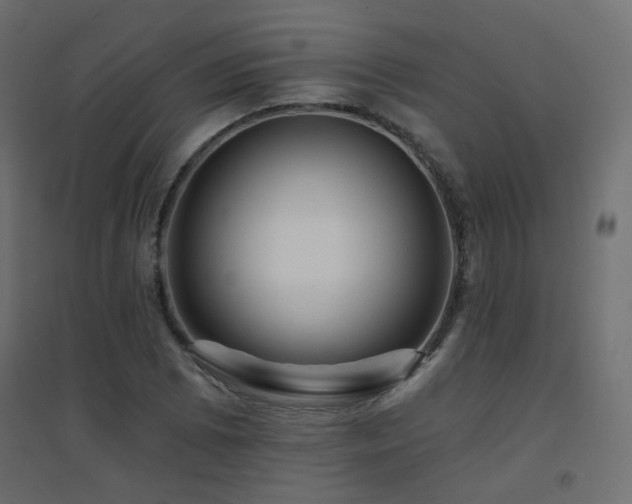 X0000094901073200711291227