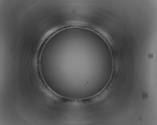 X0000094901074200711291227
