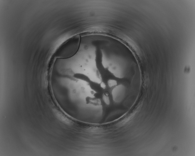 X0000094901075200711291227