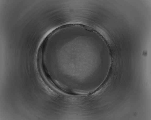 X0000094901076200711291227