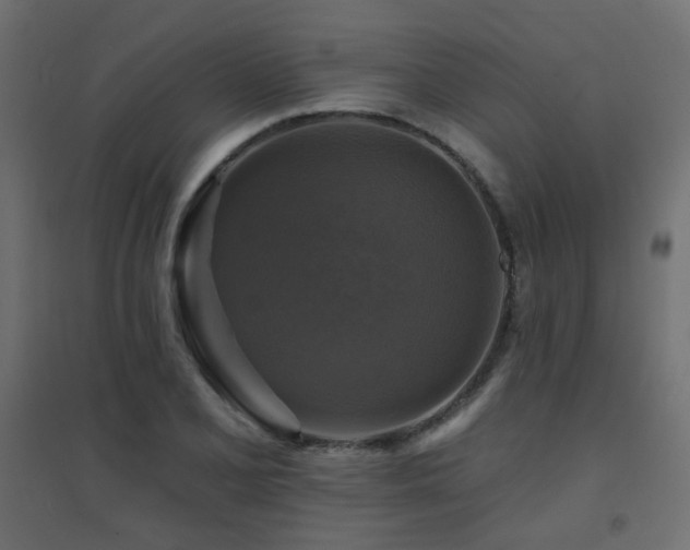 X0000094901077200711291227