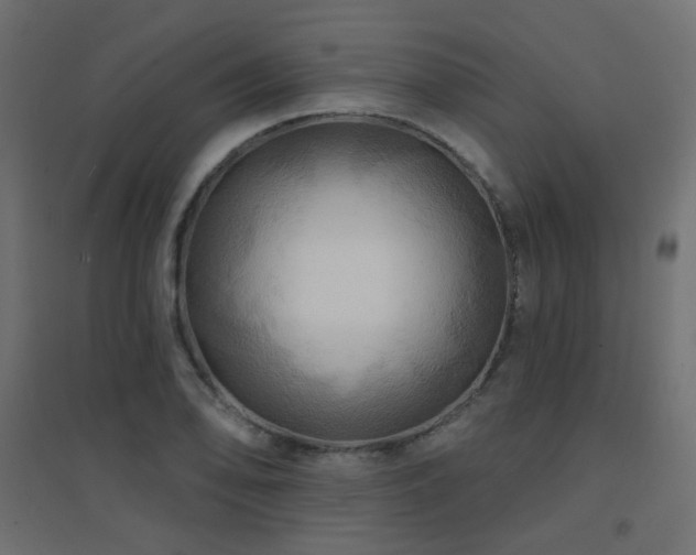 X0000094901078200711291227