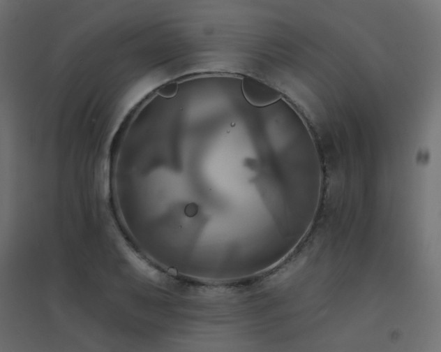 X0000094901079200711291227