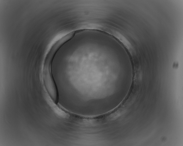 X0000094901080200711291227