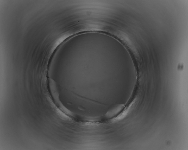 X0000094901081200711291227