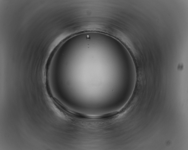 X0000094901082200711291227