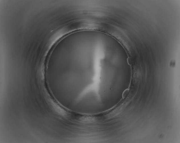 X0000094901083200711291227