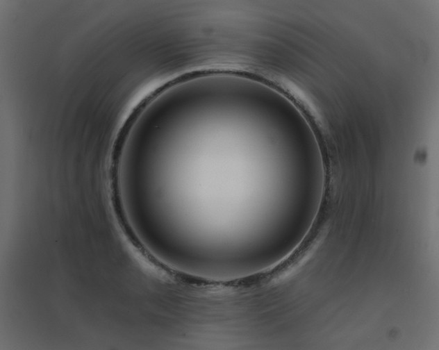X0000094901085200711291227
