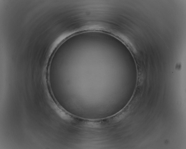 X0000094901086200711291227