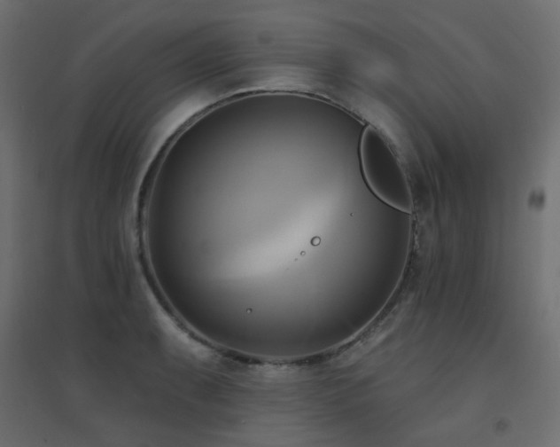 X0000094901087200711291227