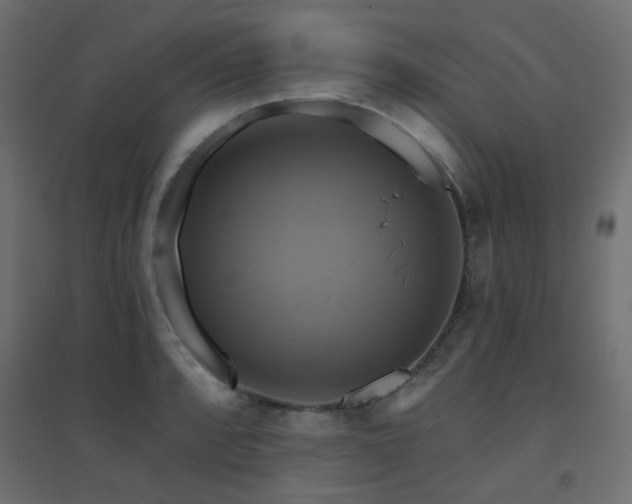 X0000094901088200711291227