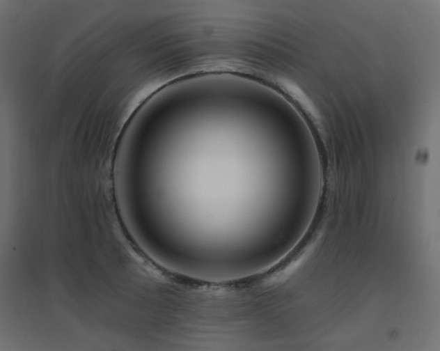 X0000094901089200711291227