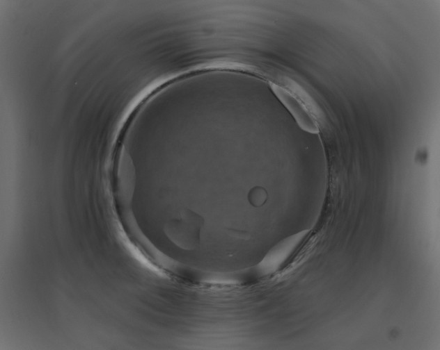 X0000094901092200711291227