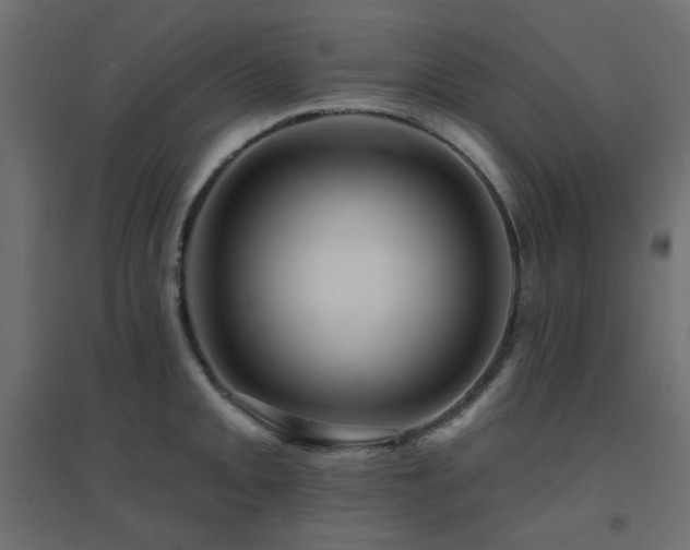 X0000094901093200711291227