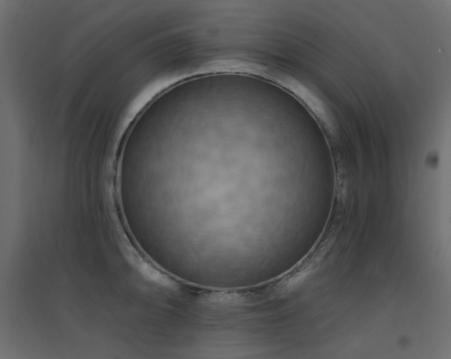 X0000094901094200711291227