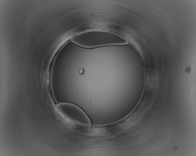X0000094901095200711291227