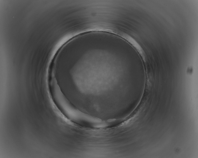 X0000094901096200711291227